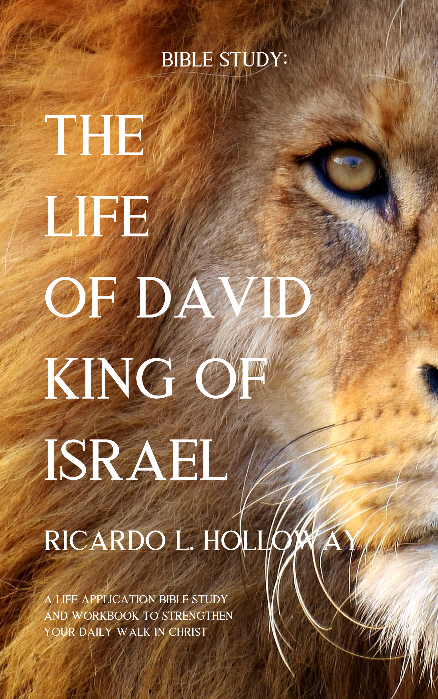 Book - Bible Study: The Life of David - King of Israel