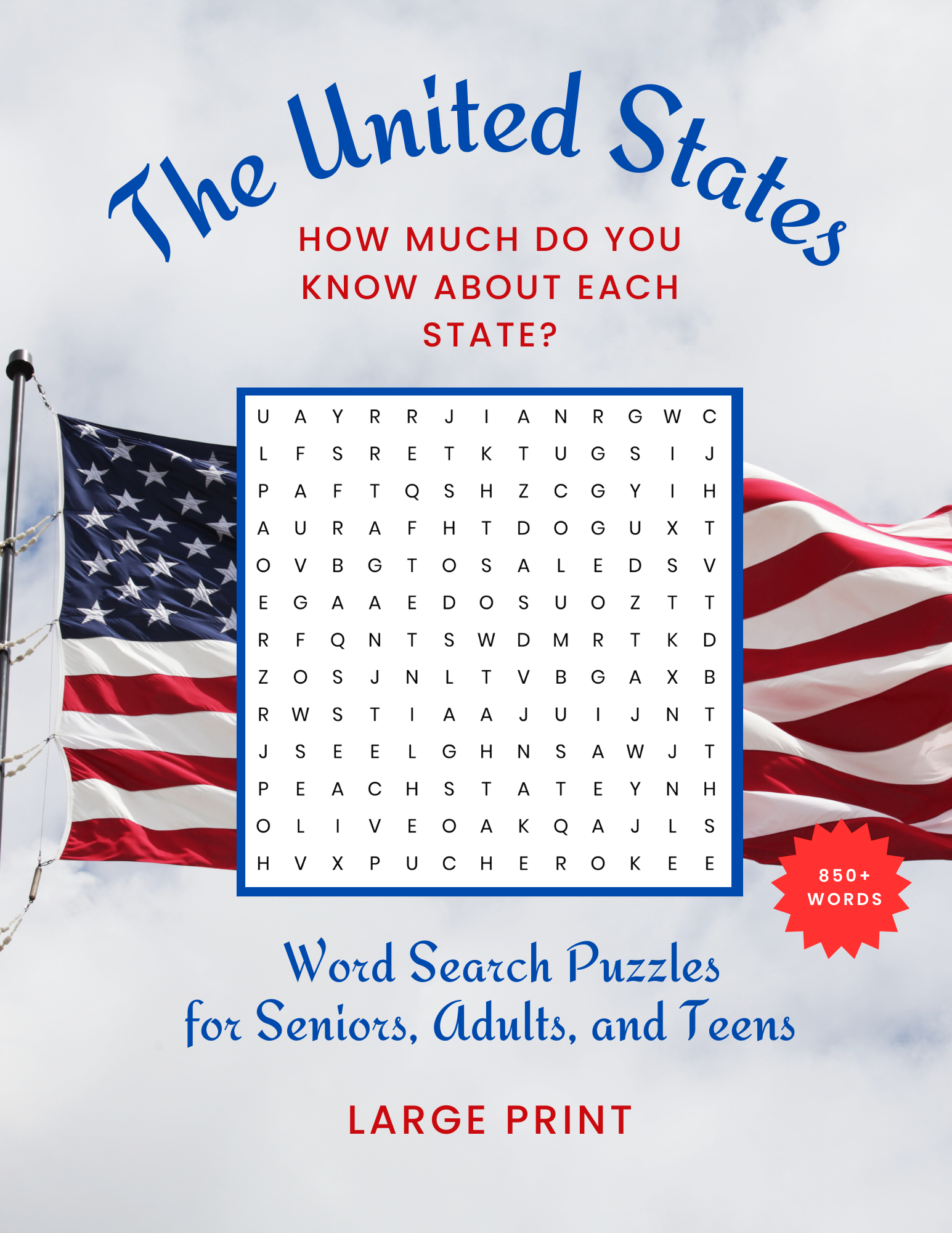 Book - United States Word Search Puzzle Book